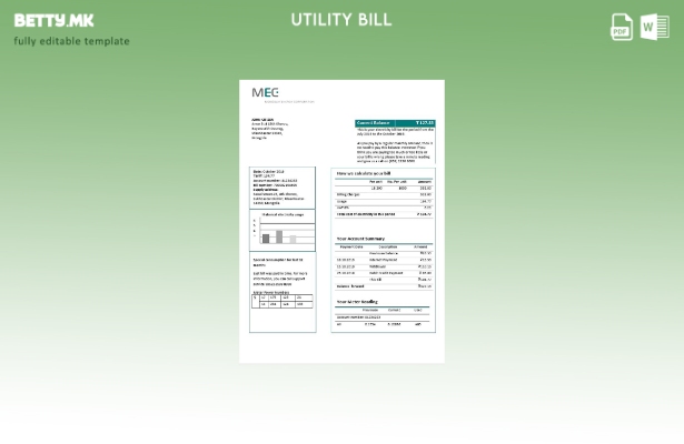 Модерен стил Монголија енергетска корпорација (MEC) шаблон сметки за електрична 